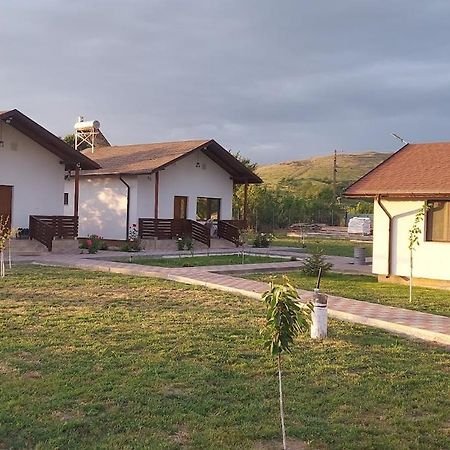 Pecineaga Zander House מראה חיצוני תמונה