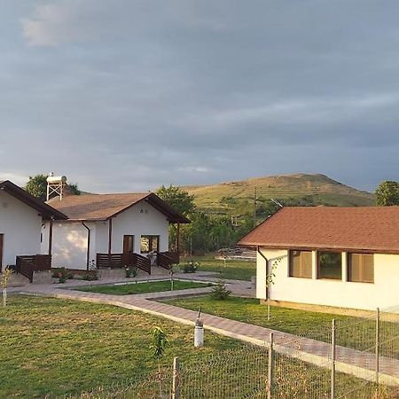 Pecineaga Zander House מראה חיצוני תמונה