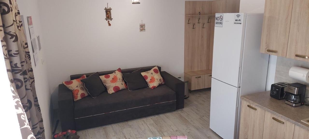 Pecineaga Zander House מראה חיצוני תמונה