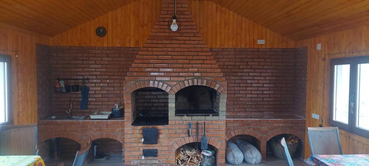 Pecineaga Zander House מראה חיצוני תמונה