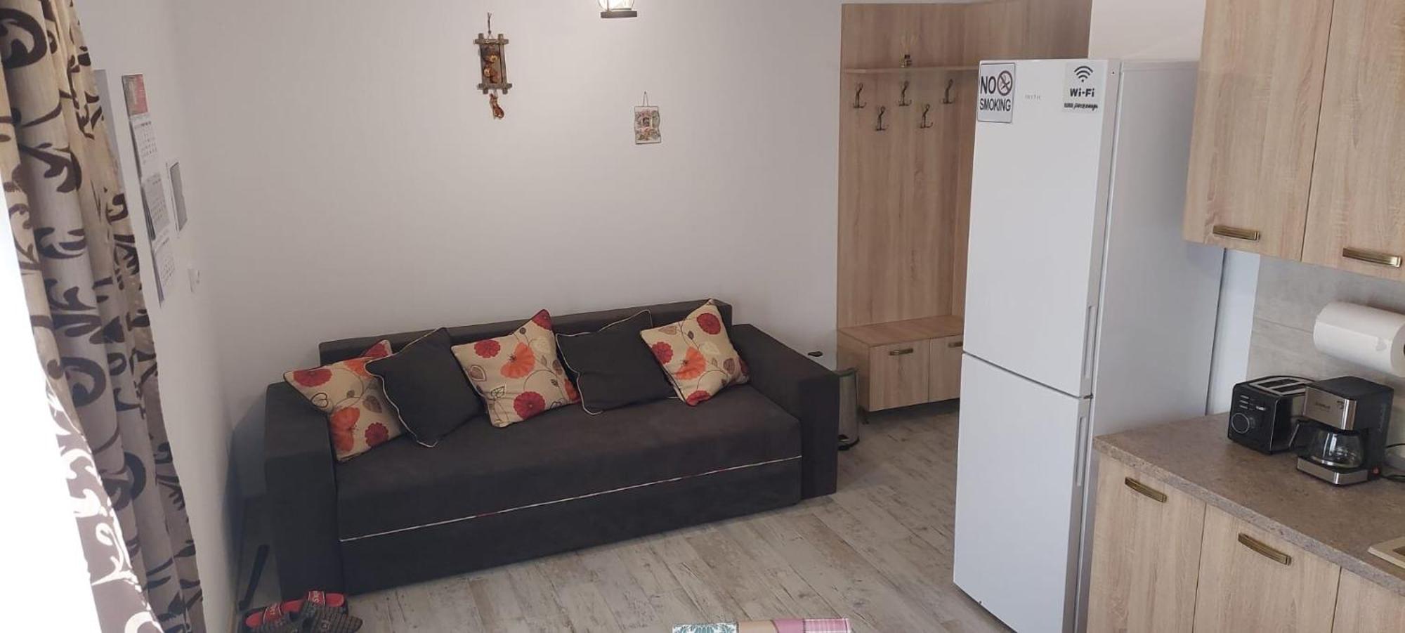 Pecineaga Zander House מראה חיצוני תמונה